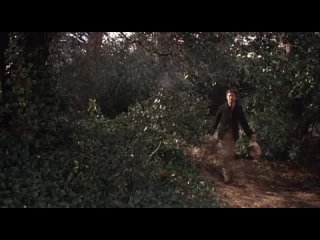 lady chatterley s lover 1981