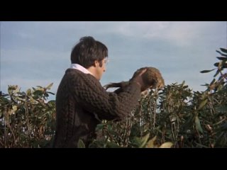 from the movie straw dogs